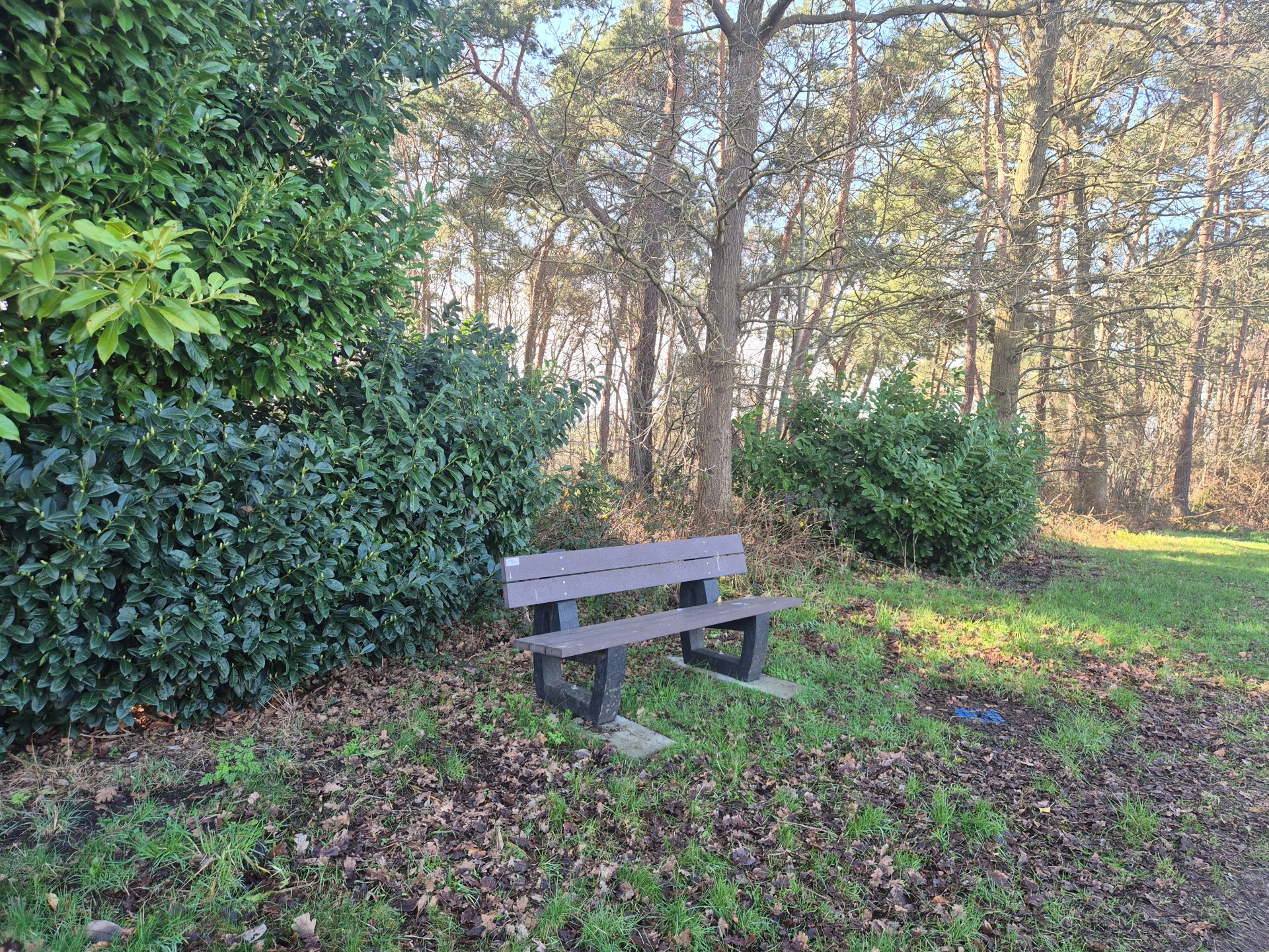 air de repos rue Parapet